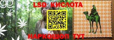 гидропоника Будённовск