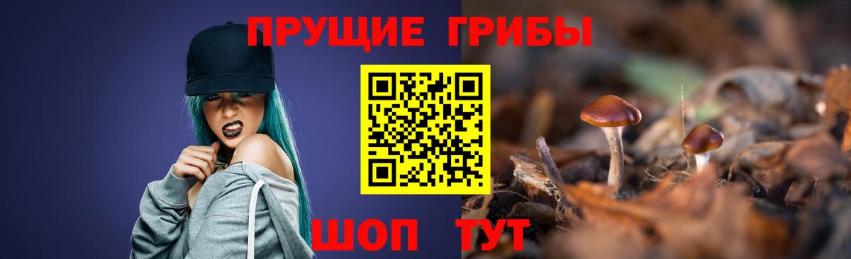 Галлюциногенные грибы Psilocybine cubensis Феодосия